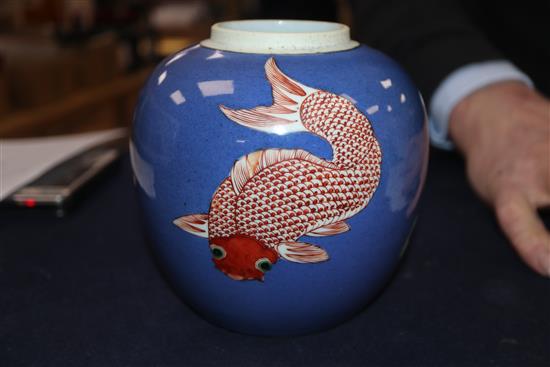 A Chinese powder blue and ground fish jar, 19th century